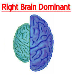Left Brain vs. Right Brain